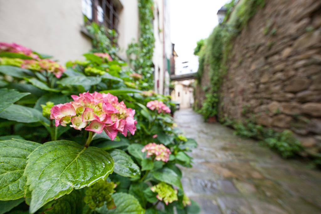 Bed and Breakfast San Michele Al Borgo Castiglion Fiorentino Exterior foto